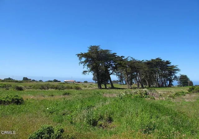 Photo 3 of Land for sale at 43575 Sea Cypress Dr, Manchester, CA 95459 | MLS# C1-11513 | Listing updated on 2026-09-01