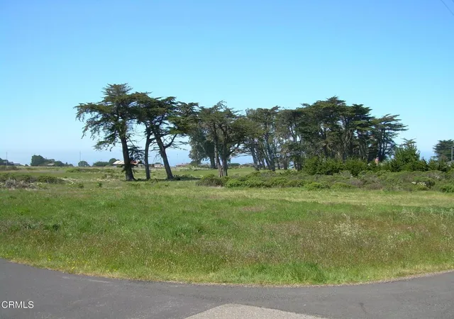 Photo 9 of Land for sale at 43575 Sea Cypress Dr, Manchester, CA 95459 | MLS# C1-11513 | Listing updated on 2026-09-01