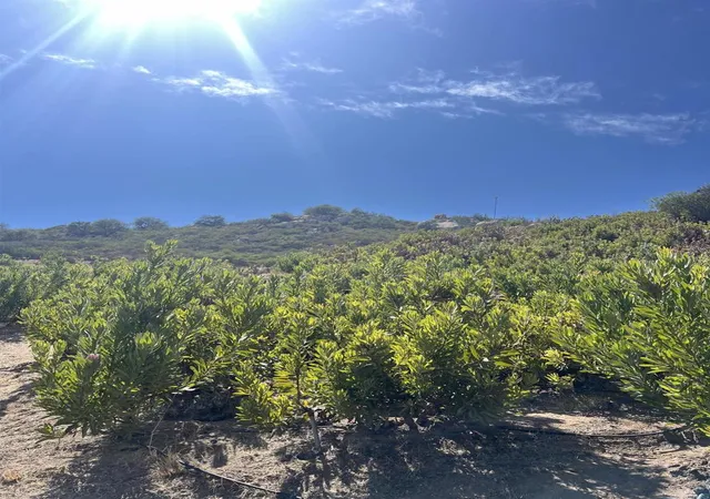 Photo 1 of Land for sale at 26336 N Lake Wohlford Rd, Valley Center, CA 92082 | MLS# NDP2608257 | Listing updated on 2026-10-27
