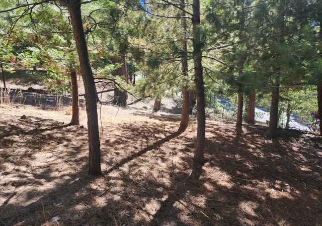 Photo 3 of Land for sale at 0 Grass Valley, Lake Arrowhead, CA 92352 | MLS# 219152179DA | Listing updated on 2026-09-02