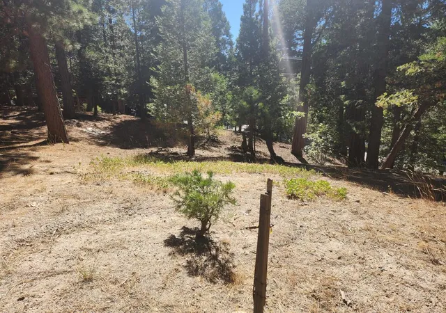 Photo 4 of Land for sale at 0 Grass Valley, Lake Arrowhead, CA 92352 | MLS# 219152179DA | Listing updated on 2026-09-02