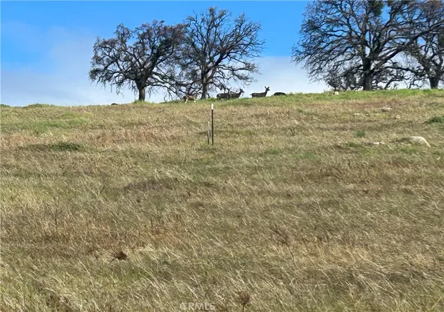 Photo 3 of Land for sale at 9741 Paraiso Blvd, La Grange, CA 95329 | MLS# MC26189351 | Listing updated on 2026-09-03