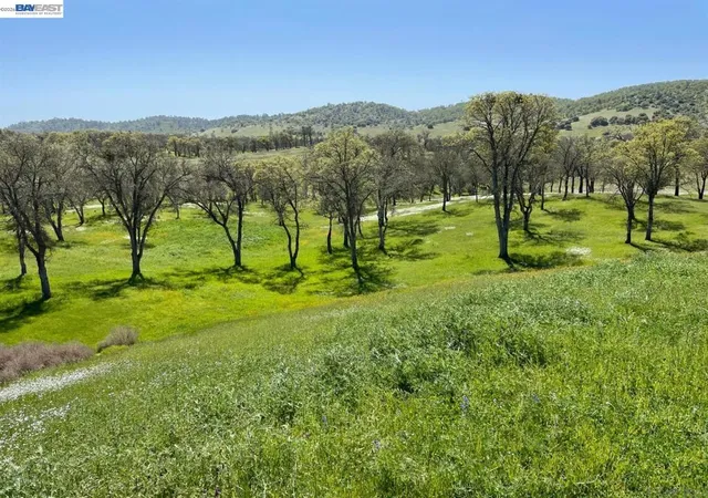 Photo 1 of Land for sale at 345 Hawkridge Rd, Copperopolis, CA 95228 | MLS# 41147095 | Listing updated on 2026-09-22