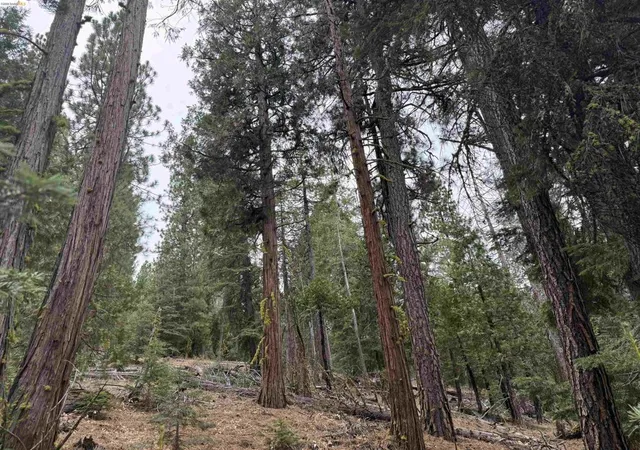 Land for sale at 00000 Hillcrest, Alturas, CA 96101 | MLS# 41147114