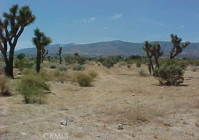 Photo 2 of Land for sale at 0 Bear Valley Rd/primavera Rd, Pinon Hills, CA 92372 | MLS# IV26194518 | Listing updated on 2026-09-04