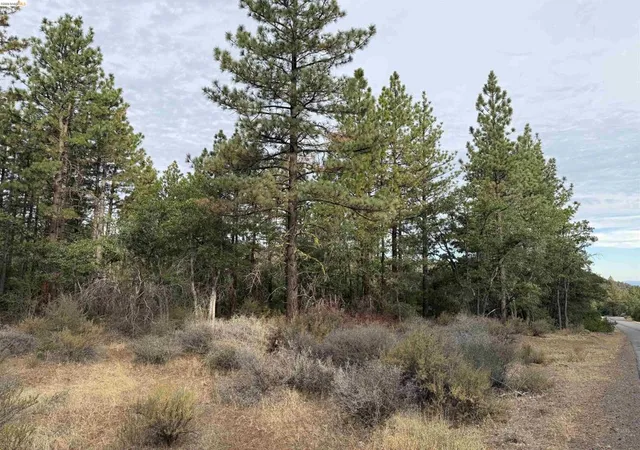 Land for sale at 00000 Little Vallley, Mcarthur, CA 96056 | MLS# 41147232