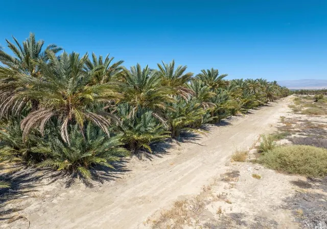 Photo 2 of Land for sale at 0 Avenue 68, Mecca, CA 92254 | MLS# 219152334DA | Listing updated on 2026-09-04
