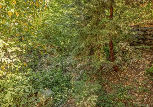 Photo 3 of Single family home for sale at 625 Cottage Grove Rd, Lake Arrowhead, CA 92352 | MLS# 260021809SD | Listing updated on 2026-09-13
