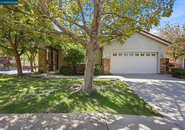 Single family home for sale at 1101 Sunny Cvs St, Walnut Creek, CA 94597 | MLS# 41147302