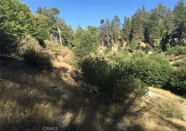 Photo 2 of Land for sale at 29749 Redwood, Cedar Glen, CA 92321 | MLS# PW26197776 | Listing updated on 2026-09-13