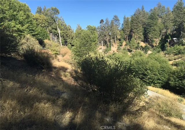 Photo 2 of Land for sale at 29751 Redwood, Cedar Glen, CA 92321 | MLS# PW26197803 | Listing updated on 2026-09-13