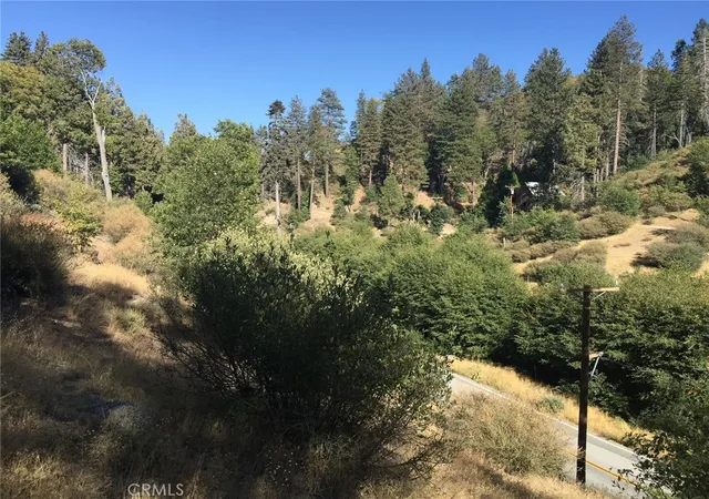 Photo 3 of Land for sale at 29776 Hook Crk, Cedar Glen, CA 92321 | MLS# PW26197827 | Listing updated on 2026-09-09