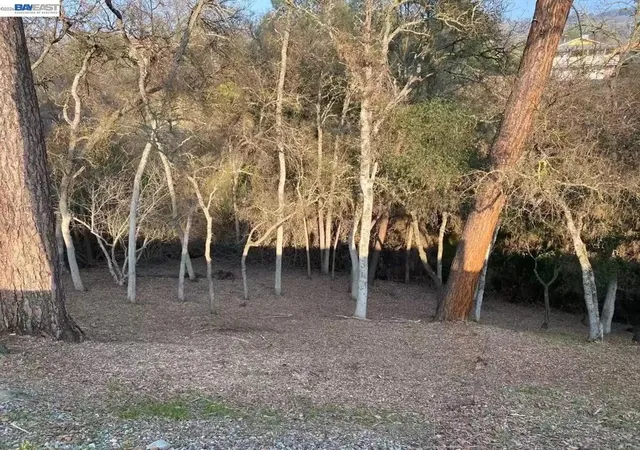 Photo 1 of Land for sale at 103 Thomson Ln, Copperopolis, CA 95228 | MLS# 41148046 | Listing updated on 2026-09-18