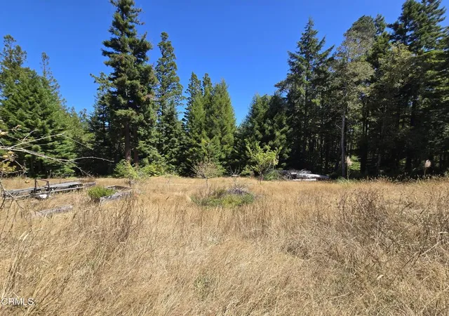 Photo 1 of Land for sale at 40741 Garcia River Rd, Point Arena, CA 95468 | MLS# C1-11529 | Listing updated on 2026-10-04