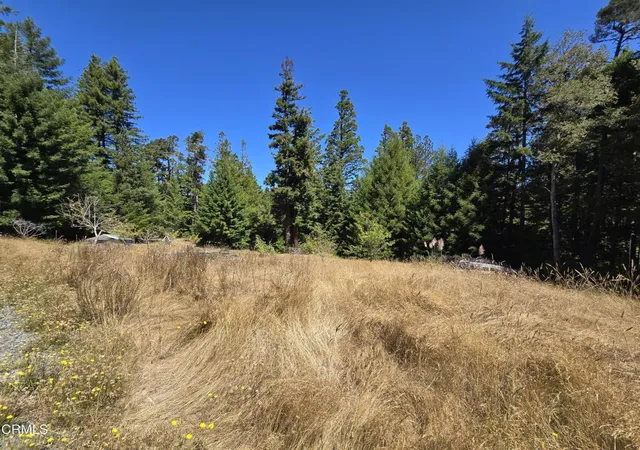Photo 2 of Land for sale at 40741 Garcia River Rd, Point Arena, CA 95468 | MLS# C1-11529 | Listing updated on 2026-10-04