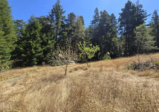 Photo 3 of Land for sale at 40741 Garcia River Rd, Point Arena, CA 95468 | MLS# C1-11529 | Listing updated on 2026-10-04