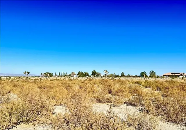 Photo 3 of Land for sale at 11975 Primavera Rd, Pinon Hills, CA 92372 | MLS# CV26203162 | Listing updated on 2026-09-16