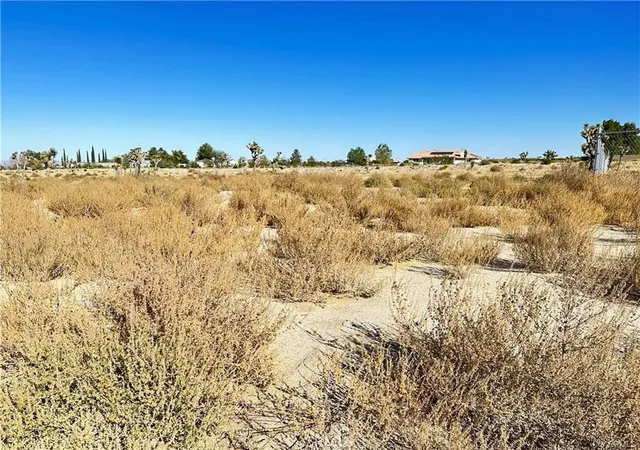 Photo 3 of Land for sale at 12025 Primavera Rd, Pinon Hills, CA 92372 | MLS# CV26203170 | Listing updated on 2026-09-16