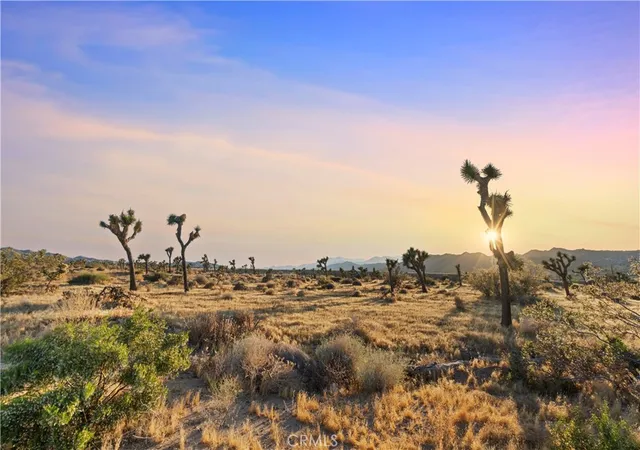 Photo 3 of Single family home for sale at 7021 Balsa Ave, Yucca Valley, CA 92284 | MLS# JT26202516 | Listing updated on 2026-09-25