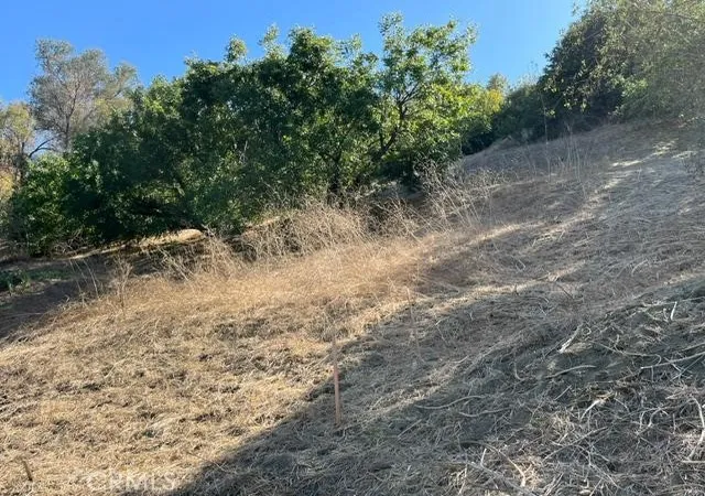 Photo 1 of Land for sale at 0 Palomar Dr, La Habra Heights, CA 90631 | MLS# DW26165756 | Listing updated on 2026-09-17