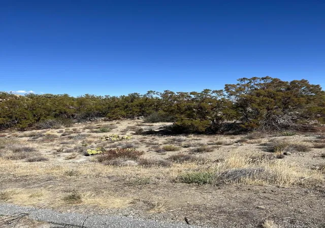 Photo 3 of Land for sale at 0 Redwood Dr, Mountain Center, CA 92561 | MLS# 219152815DA | Listing updated on 2026-10-07