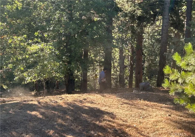 Land for sale at 2335 Deep Crk, Running Springs, CA 92382 | MLS# CV26203936