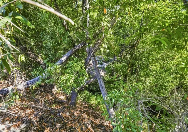 Photo 3 of Land for sale at 0 Zayante, Felton, CA 95018 | MLS# ML82061816 | Listing updated on 2026-09-18