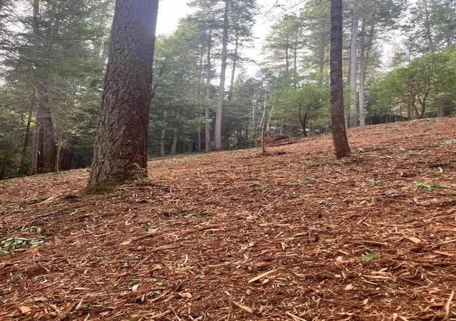 Photo 2 of Land for sale at 2531 Kittywake Ln, Camino, CA 95709 | MLS# ML82062192 | Listing updated on 2026-10-06