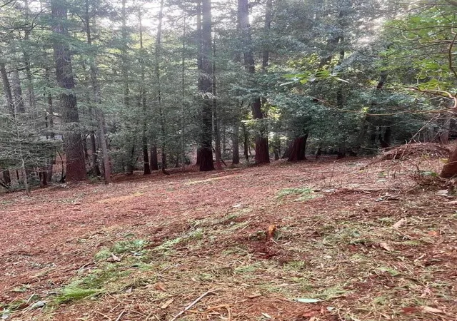 Photo 3 of Land for sale at 2531 Kittywake Ln, Camino, CA 95709 | MLS# ML82062192 | Listing updated on 2026-10-06
