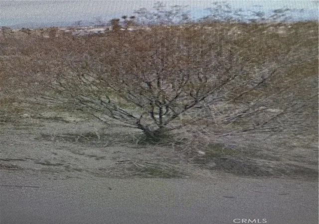 Photo 2 of Land for sale at 30683211 Evergreen Rd, Pinon Hills, CA 92372 | MLS# DW26207525 | Listing updated on 2026-09-23