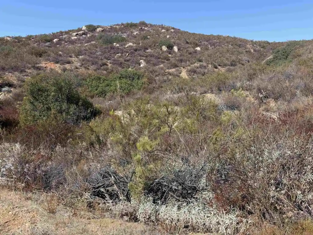 Photo 1 of Sale Pending at Lot 1 Japatul Rd, Alpine, CA 91901 | MLS# NDP2608888 | Listing updated on 2026-10-17