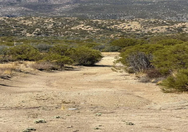 Photo 3 of Land for sale at 0 St Maurice, Mountain Center, CA 92561 | MLS# 219153148DA | Listing updated on 2026-10-07