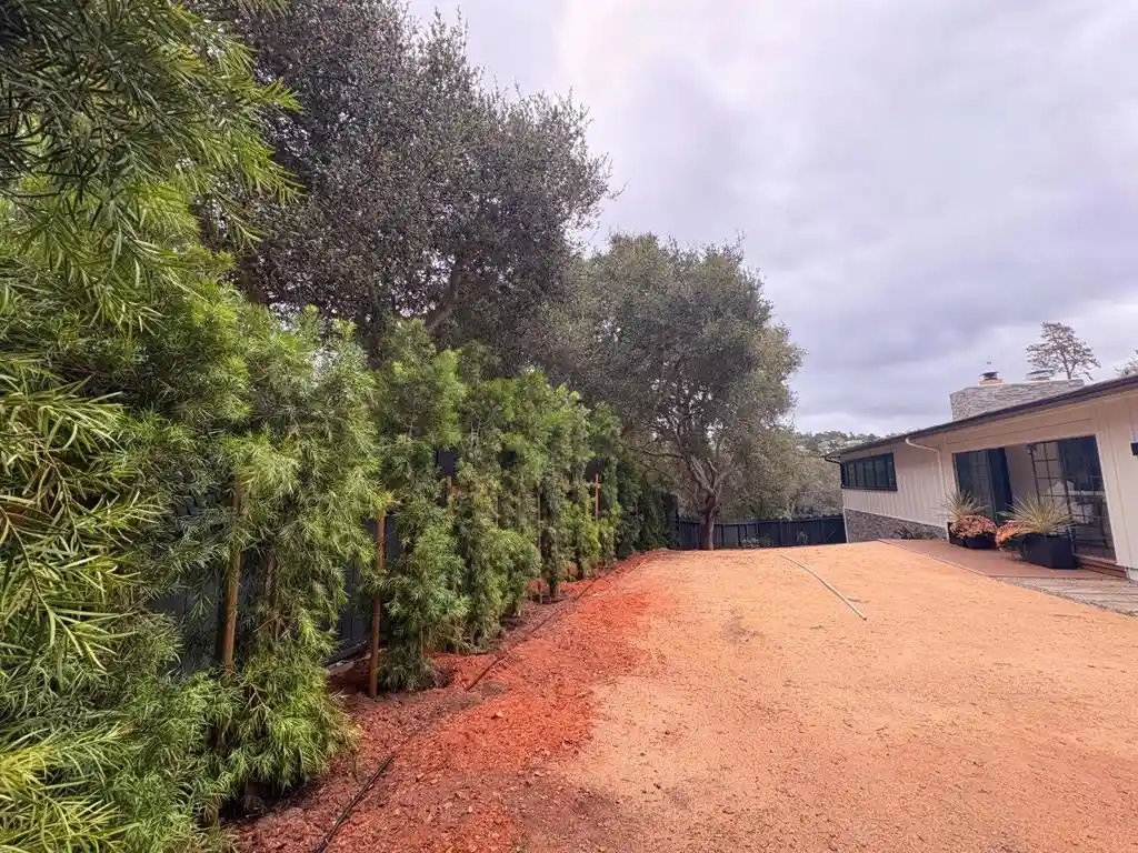 Photo 1 of Single family home for sale at 25165 Stewart Pl, Carmel, CA 93923 | MLS# ML82061973 | Listing updated on 2026-10-30