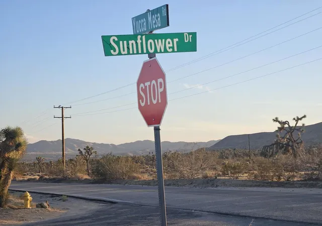 Photo 1 of Sale Pending at 10 Yucca Mesa Rd, Yucca Valley, CA 92284 | MLS# 219153272PS | Listing updated on 2026-09-30