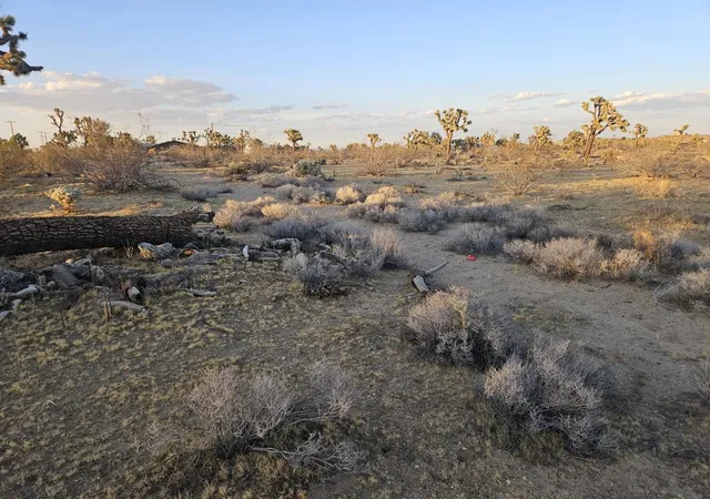 Photo 2 of Sale Pending at 10 Yucca Mesa Rd, Yucca Valley, CA 92284 | MLS# 219153272PS | Listing updated on 2026-09-30