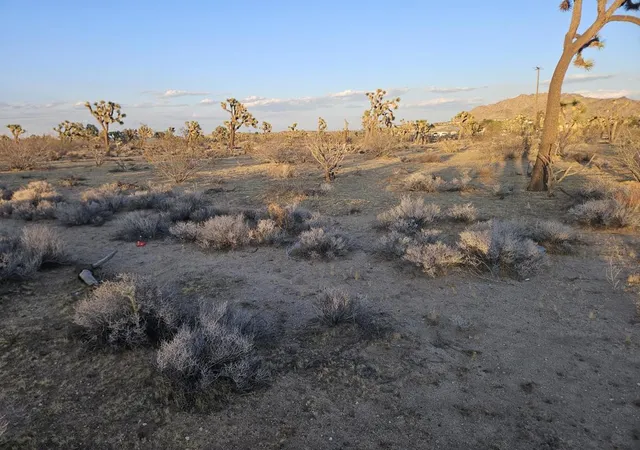 Photo 4 of Sale Pending at 10 Yucca Mesa Rd, Yucca Valley, CA 92284 | MLS# 219153272PS | Listing updated on 2026-09-30