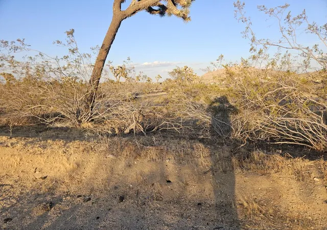 Photo 3 of Sale Pending at 20 Yucca Mesa Rd, Yucca Valley, CA 92284 | MLS# 219153288PS | Listing updated on 2026-09-30