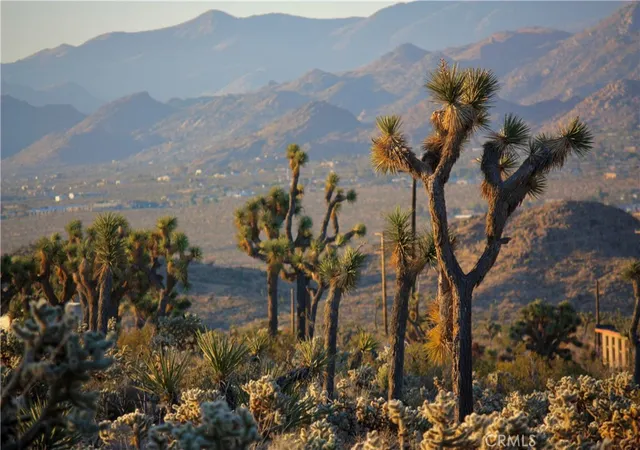 Photo 2 of Land for sale at 5374 Marvin Dr, Yucca Valley, CA 92284 | MLS# JT26210995 | Listing updated on 2026-09-28