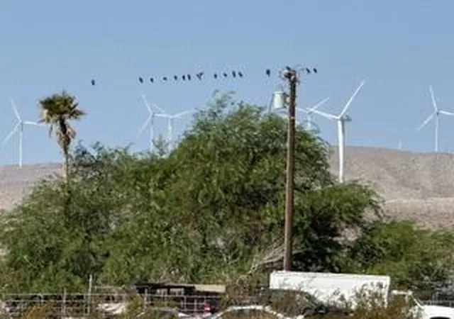 Photo 3 of Land for sale at 33 Western Ave, Desert Hot Springs, CA 92240 | MLS# 219153421DA | Listing updated on 2026-09-29