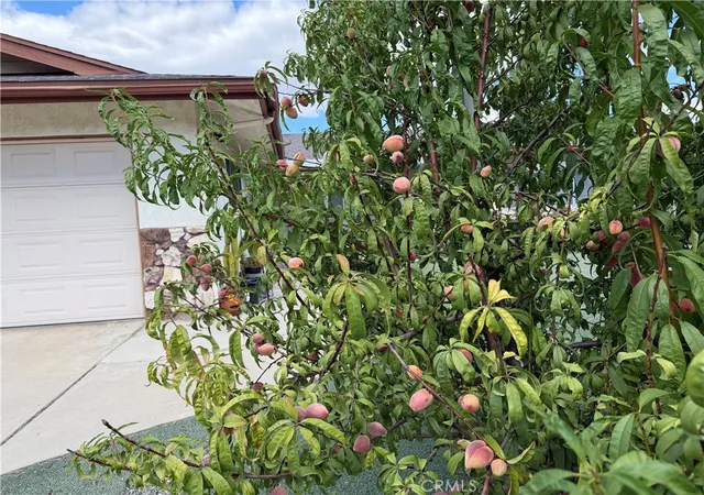 Photo 3 of Single family home for sale at 672 Central Ave W, Hemet, CA 92543 | MLS# SW26212354 | Listing updated on 2026-09-30