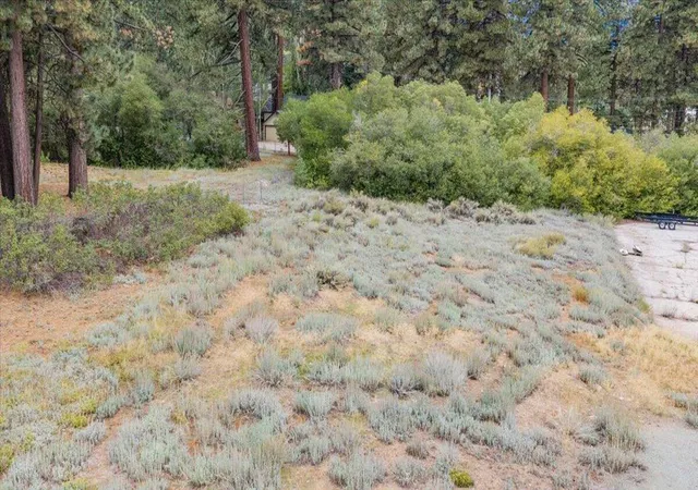 Photo 3 of Land for sale at 745 Stocker Rd, Big Bear Lake, CA 92315 | MLS# 219153454DA | Listing updated on 2026-09-30