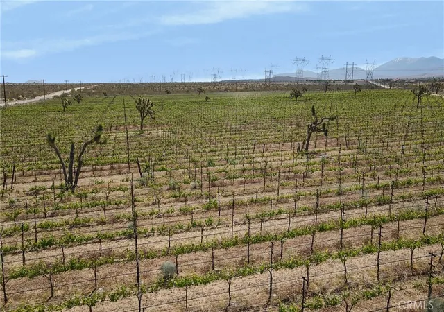 Land for sale at 0 Ft Tejon Vic 82nd St E, Palmdale, CA 91352 | MLS# SR26213449