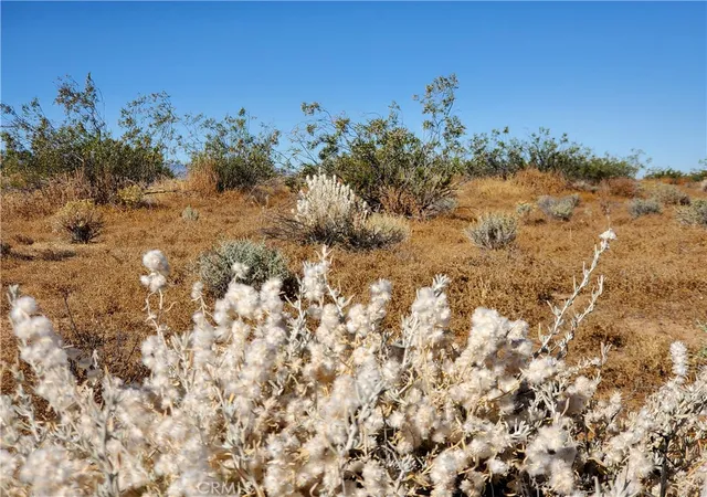 Photo 2 of Land for sale at 2 Ac Ave L12, Lake Los Angeles, CA 93535 | MLS# HD26214225 | Listing updated on 2026-10-01