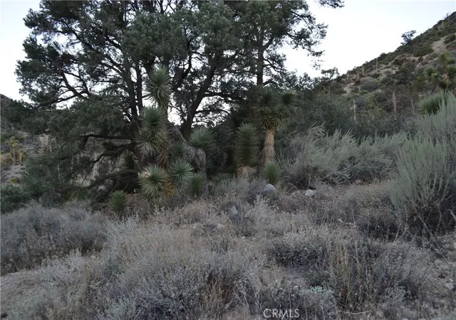 Photo 2 of Land for sale at 1736 Verde, Pinon Hills, CA 92372 | MLS# IV26214034 | Listing updated on 2026-10-03