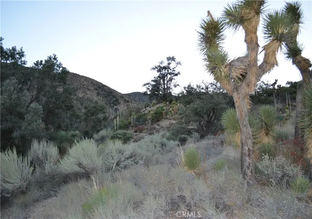 Photo 3 of Land for sale at 1736 Verde, Pinon Hills, CA 92372 | MLS# IV26214034 | Listing updated on 2026-10-03