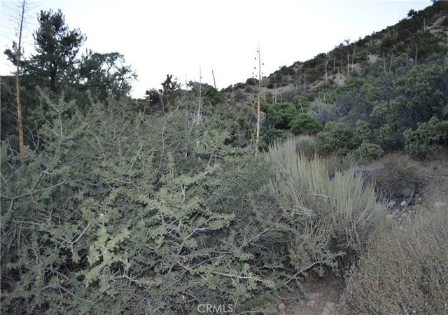 Photo 1 of Land for sale at 0 Verde, Pinon Hills, CA 92372 | MLS# IV26214510 | Listing updated on 2026-10-03