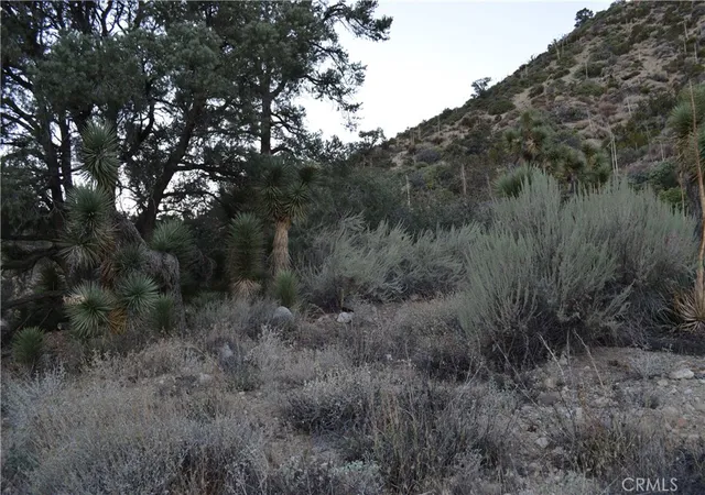 Photo 3 of Land for sale at 0 Verde, Pinon Hills, CA 92372 | MLS# IV26214510 | Listing updated on 2026-10-03