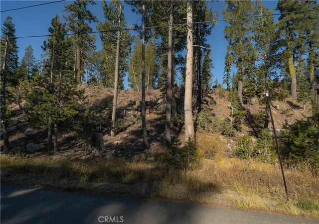 Photo 3 of Land for sale at 7233 Palisade, Soda Springs, CA 95728 | MLS# AR26213506 | Listing updated on 2026-10-09