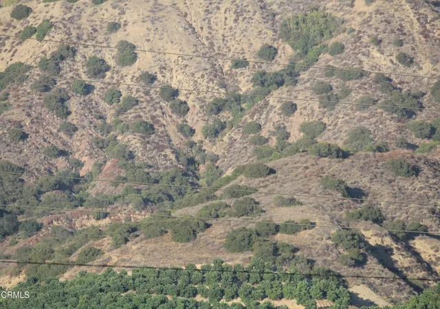 Photo 3 of Land for sale at 51 Fillmore St, Fillmore, CA 93015 | MLS# V1-39059 | Listing updated on 2026-10-02