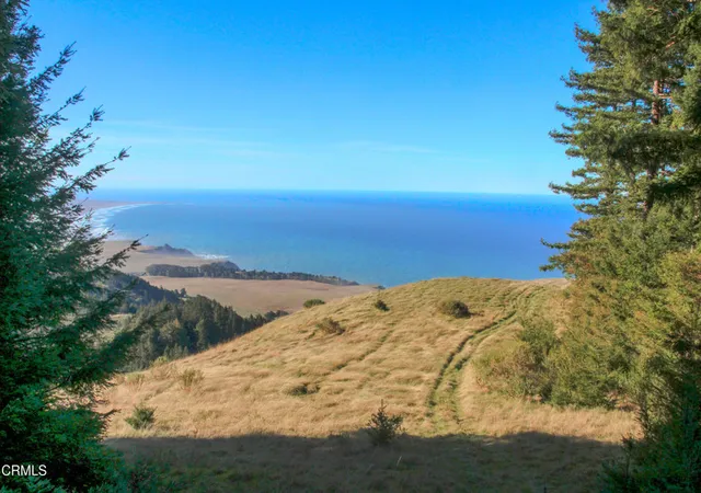 Photo 3 of Land for sale at 8915 S Highway 1, Elk, CA 95432 | MLS# C1-11543 | Listing updated on 2026-10-02